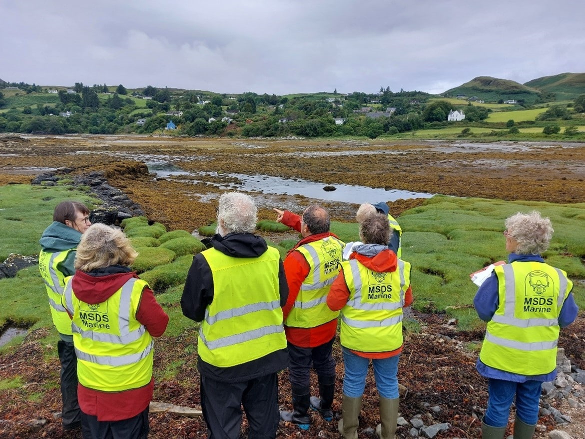 Poeple standing in yellow vests looking at a wetland